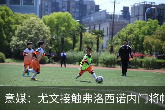 意媒：尤文接触弗洛西诺内门将帕尔米萨尼，身价约600万欧
